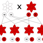 MOOC Summaries - Introduction to Human Behavioral Genetics - heritability